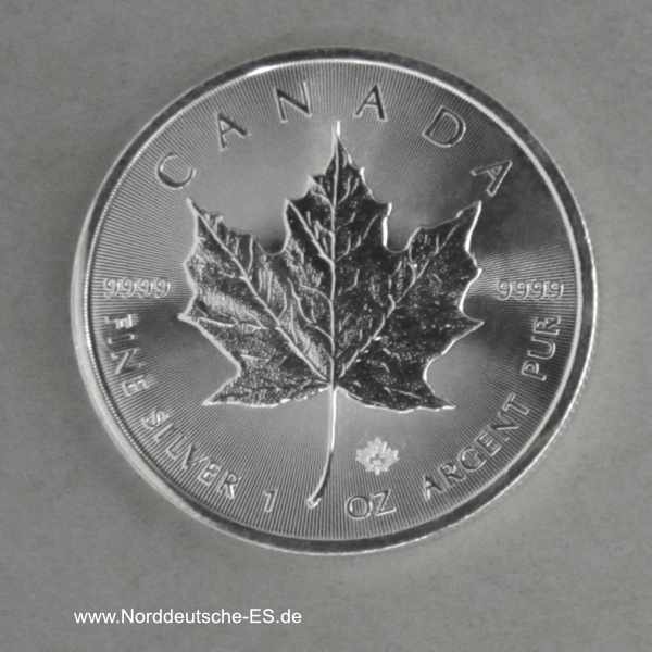 Kanada Maple Leaf Silbermünze 1 oz