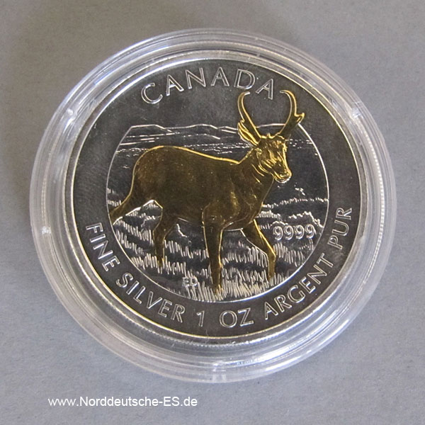 Kanada 5 Dollar 1 oz Silber Vergoldet Antilope 2013