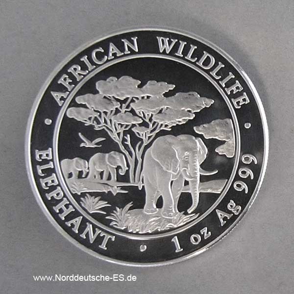 Silbermünze 1 oz African Wildlife Elephant