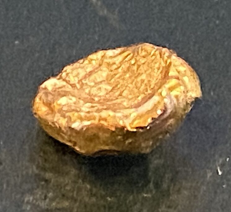 Gold-Nugget 1,99Gramm-Unterseite