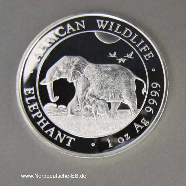 Somalia Elephant 1 oz Silber 2022 African Wildlife 100 Shillings